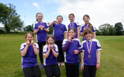 Cricket final for Y5&6 girls