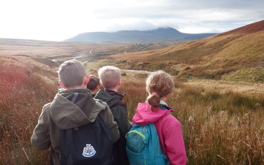 Whernside