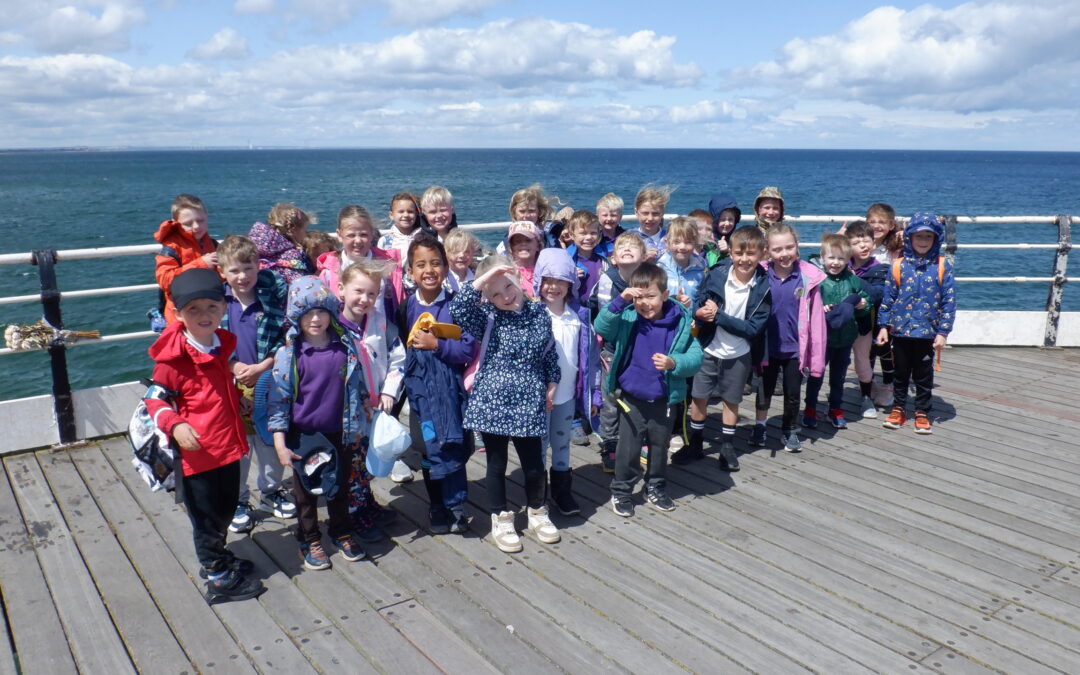 Saltburn