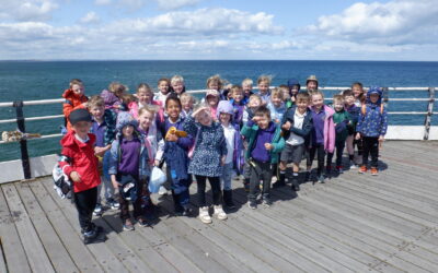 Saltburn