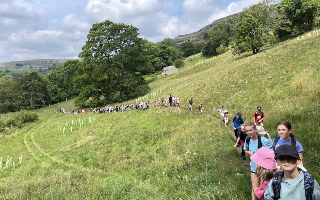 School walk